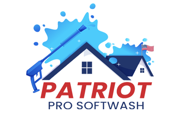 Patriot Pro Softwash Logo